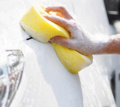 Houba na mytí aut
